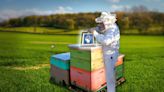 Esta emprendedora ayuda a salvar a las abejas haciendo de la apicultura un negocio sostenible