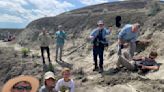 Kids Discover Tyrannosaurus Rex Fossil in North Dakota