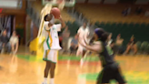 Patroons Offense Lights Up Flying Cows for Game One Victory