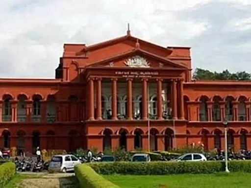 Karnataka HC quashes move to invoke stringent organised crime law against hacker Sriki in 2017 case