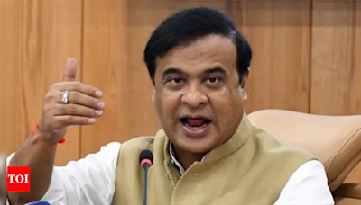 17 'Bangladeshi' infiltrators including nine children sent back from Assam: CM Himanta Biswa | India News - Times of India