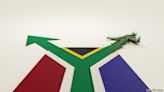 How to save South Africa