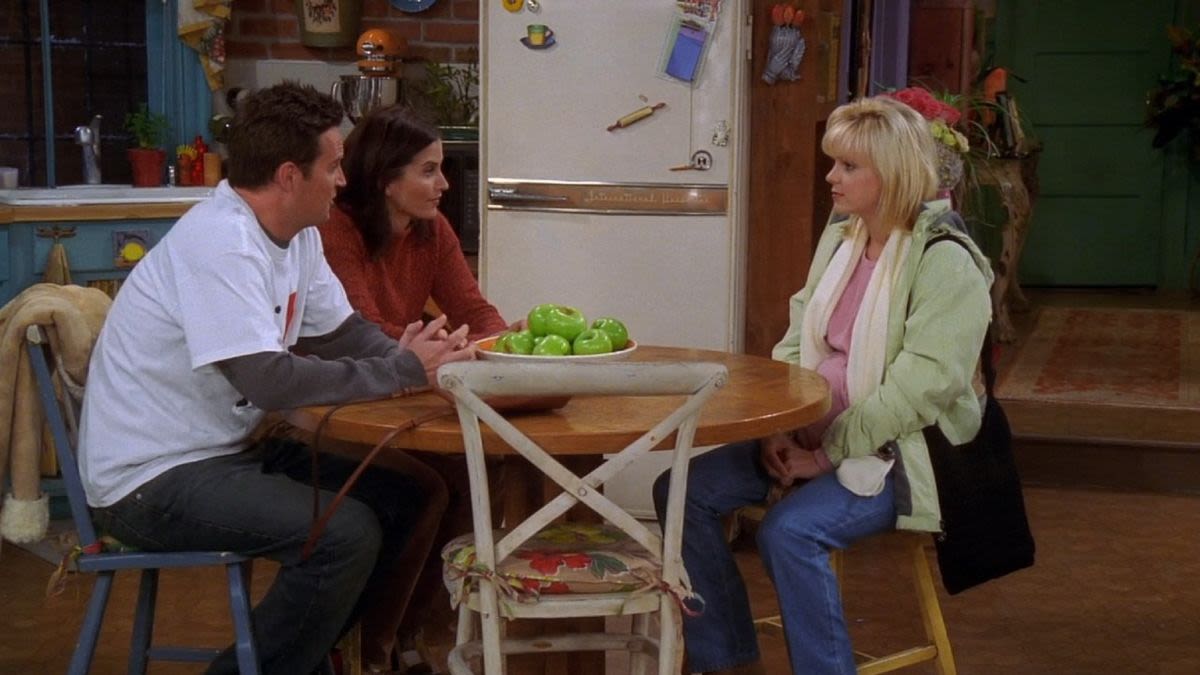 ...Audacious For Me To Speak Too Much,' Says Anna Faris About Getting To Work With Matthew Perry On Friends