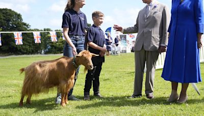 King and Queen grant goat rare royal title as they finish Channel Islands visit