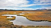 Autumn in Yellowstone – Everything You Need to Know