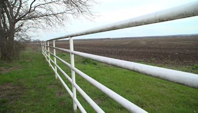 ‘This is Chernobyl’: Texas ranchers say ‘forever chemicals’ in waste-based fertilizers ruined their land