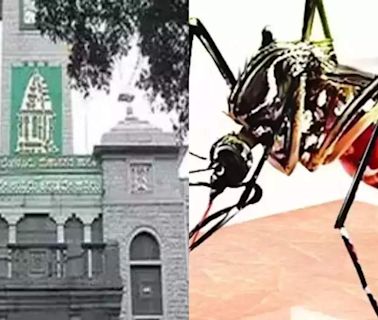 BBMP to Fine Property Owners for Dengue Breeding | Bengaluru News - Times of India