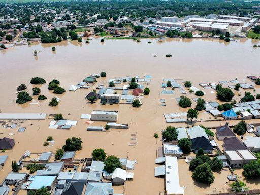 Dam collapse in Nigeria sweeps deadly reptiles into flooded communities