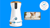 Save $51 on Furbo's smart pet camera on Amazon right now