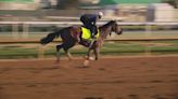 Sierra Leone born for Kentucky Derby 150