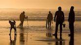 Razor clam harvest ban lifted for northern Oregon coast amid shellfish toxin scare