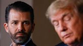 Donald Trump Jr. Gets Scathing Reminder Of His Father's 'Mental Competency'