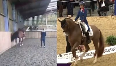 Difunden video de la jinete Charlotte Dujardin maltratando a caballo