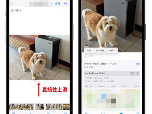 iPhone 照片去背完整教學：免下載 App、內建相簿幫你一鍵照片去背景