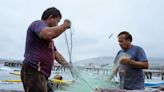 Squid games on the high seas as U.S. Coast Guard monitors some of the Chinese fishing vessels