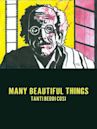 Many Beautiful Things: Tanti Beddi Cosi