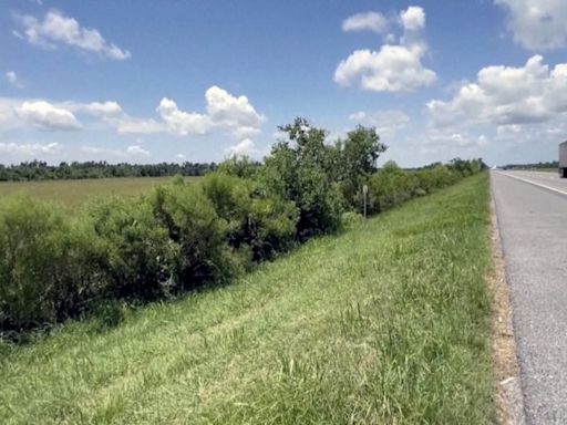 ‘Miracle baby’: 1-year-old found crawling along roadside after two days