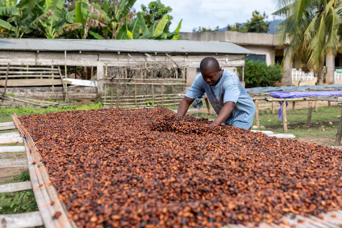 Cocoa Futures Advance as Ghana Seeks to Restrict Some Supplies
