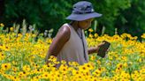 Juneteenth celebrated through hike and tour of Monocacy National Battlefield