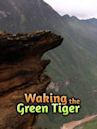 Waking the Green Tiger