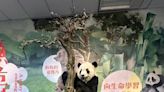 台北動物園瀕危動物特展 訴說20餘種瀕危物種故事
