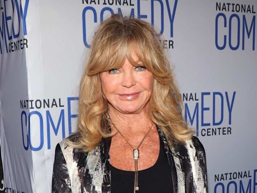 Fans Call Goldie Hawn's Lookalike Granddaughter a 'Mini Goldie' in New Photo