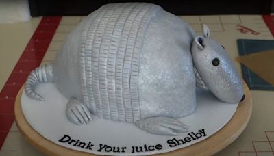 What Are Armadillo Cakes And Are They Still A Thing?