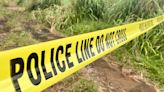 Kauai police are looking for new leads in 2020 Moloaa homicide