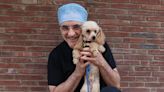 The Supervet's Noel Fitzpatrick responds to emotional "final episode" of series