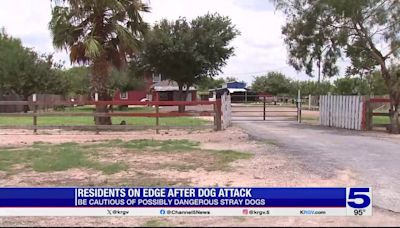 Monte Alto resident on edge following deadly dog attack