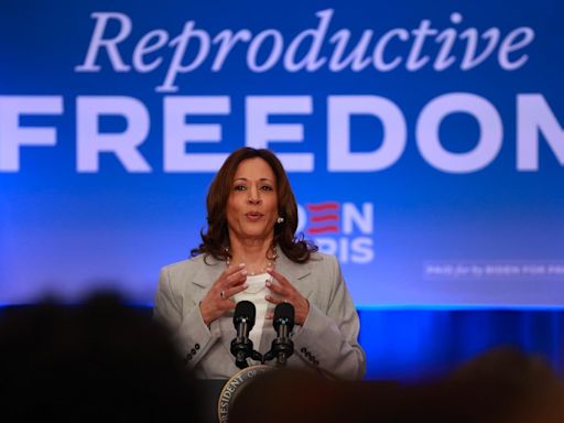 Kamala Harris hammers Trump for Florida's 6-week abortion ban, warns it will be 'even worse' if he wins