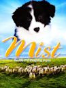 Mist: The Tale of a Sheepdog Puppy