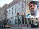 Vicious pit bull grabs owner’s jugular, mauls him to death in NYC apartment