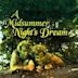 A Midsummer Night's Dream