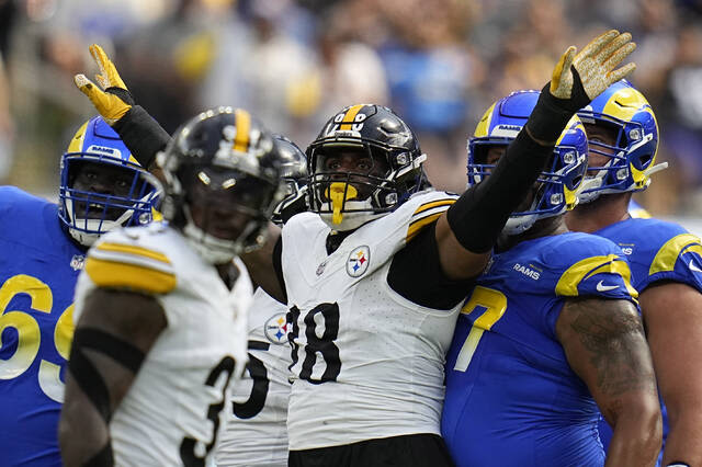 Steelers A to Z: DeMarvin Leal entering make-or-break season in NFL journey