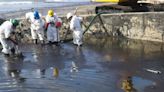 Expertos internacionales ayudan a Trinidad y Tobago a limpiar el derrame de crudo