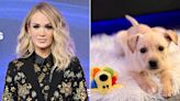 Carrie Underwood Adopts 'Sweet Girl' Puppy After Searching for the 'Right Pup' for 'a While'