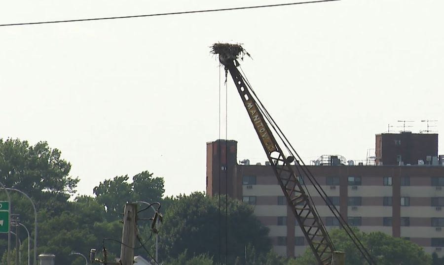 RIDOT: Crane with osprey nest on top isn’t for Washington Bridge demolition