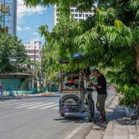 A vendor stands under a tree during hot weather in Manila. The Philippines has suspended in-person classes in all public schools for two days because of the extreme heat