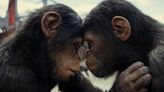 ‘Kingdom Of The Planet Of The Apes’ Targets $140 Million Box Office