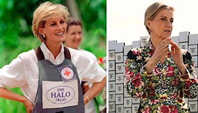 Duchess Sophie Placed in Modern-Day Princess Diana Role as 1st Royal Sent to War-Torn Ukraine