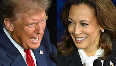 Hide Ya Cats, Hide Ya Dogs: Funniest Tweets, Memes & Viral Videos From The Hilariously Unserious Kamala Harris-Donald...