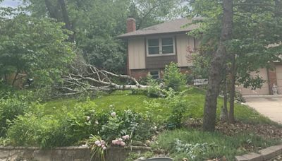 Severe storms leave path of destruction in Johnson County