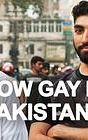 How Gay Is Pakistan?