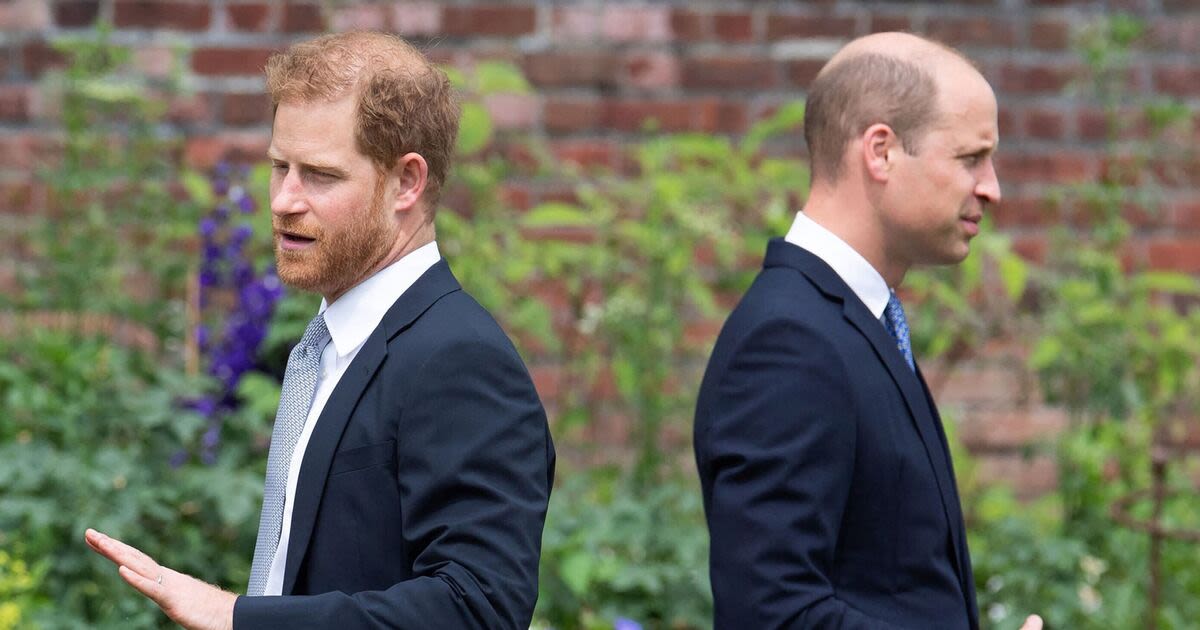 Harry 'doesn't really exist' to William as he 'doesn't have room in his soul'