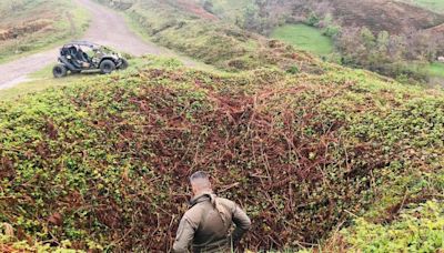 Así se cazaba a los lobos en los pueblos de Asturias: las antiguas trampas de los montes del Laviana, a estudio