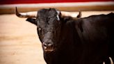 Feria del Toro de San Fermín 2024: toreros, ganaderías y precio de entradas y abonos