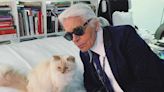 All About Karl Lagerfeld's Beloved Cat Choupette