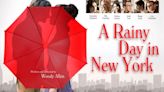 A Rainy Day in New York Streaming: Watch & Stream Online via Amazon Prime Video and Peacock