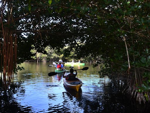 Free admission to Florida state parks? Tax free concert tickets? What you need to know